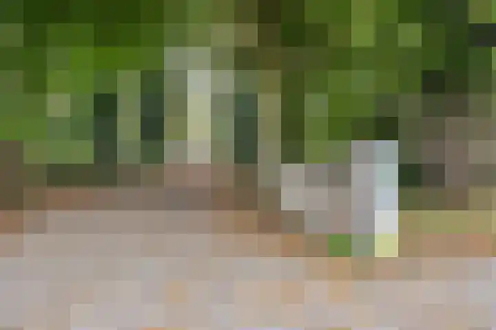 Roland Holsthof 22 Tilburg thumbnail 36