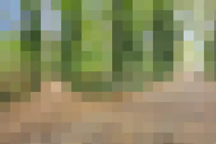 Roland Holsthof 22 Tilburg thumbnail 37