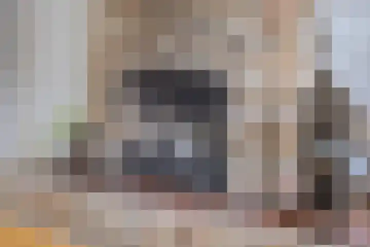 Roland Holsthof 22 Tilburg thumbnail 4