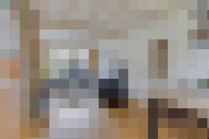 Roland Holsthof 22 Tilburg thumbnail 5