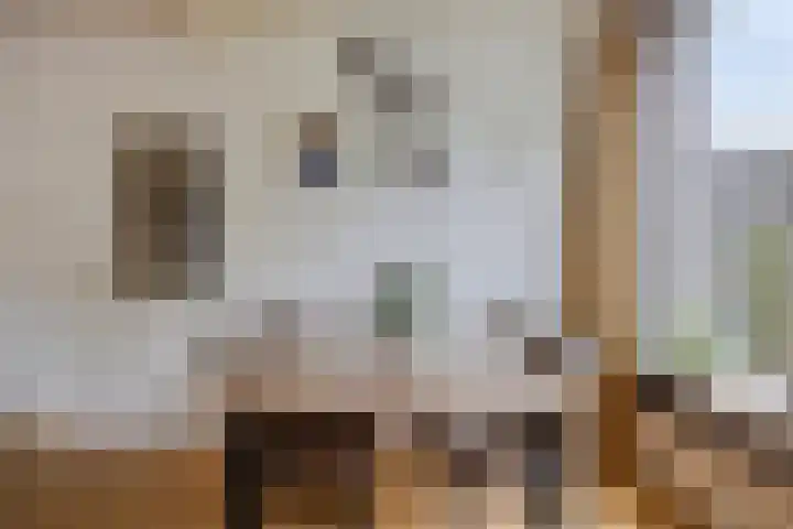 Roland Holsthof 22 Tilburg thumbnail 7