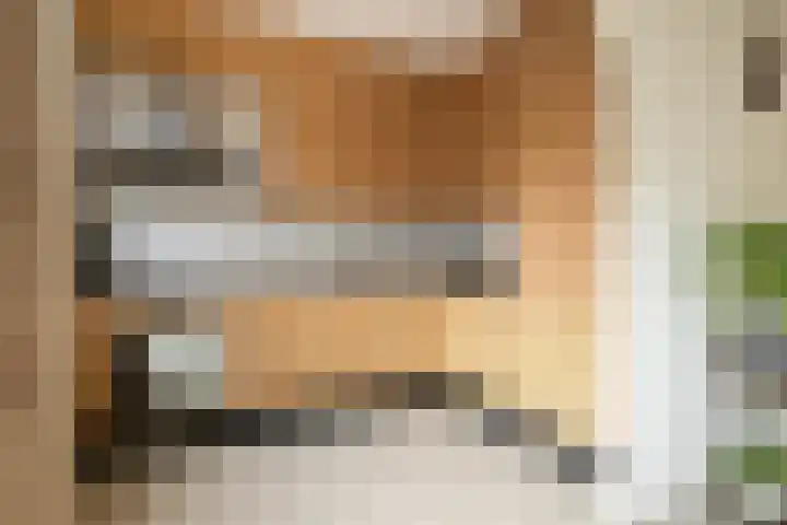 Roland Holsthof 7 Tilburg thumbnail 11