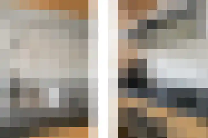Roland Holsthof 7 Tilburg thumbnail 12