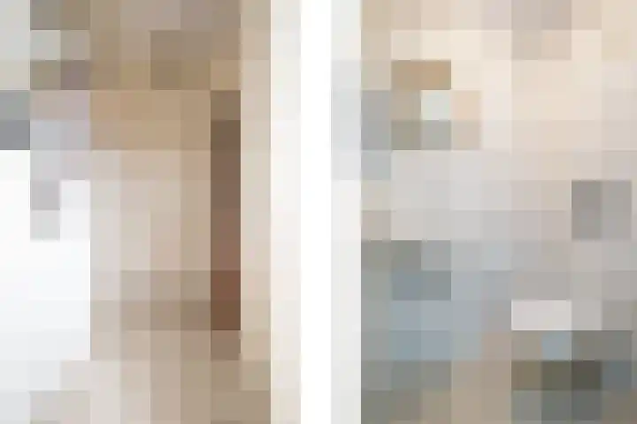 Roland Holsthof 7 Tilburg thumbnail 13