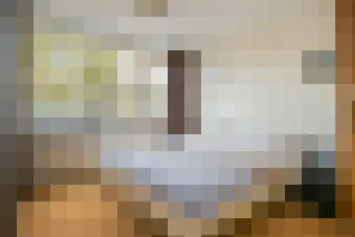 Roland Holsthof 7 Tilburg thumbnail 15