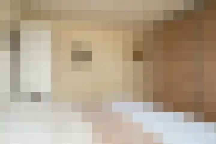 Roland Holsthof 7 Tilburg thumbnail 16