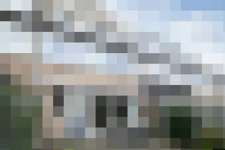 Roland Holsthof 7 Tilburg thumbnail 27