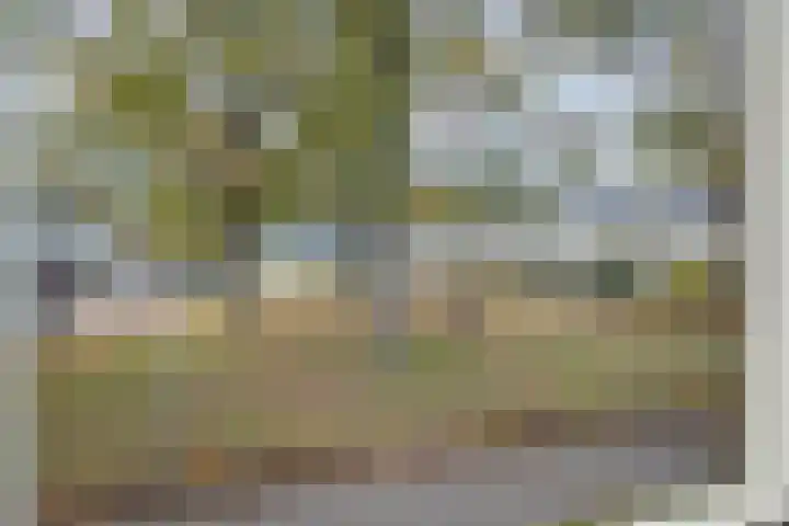 Roland Holsthof 7 Tilburg thumbnail 33