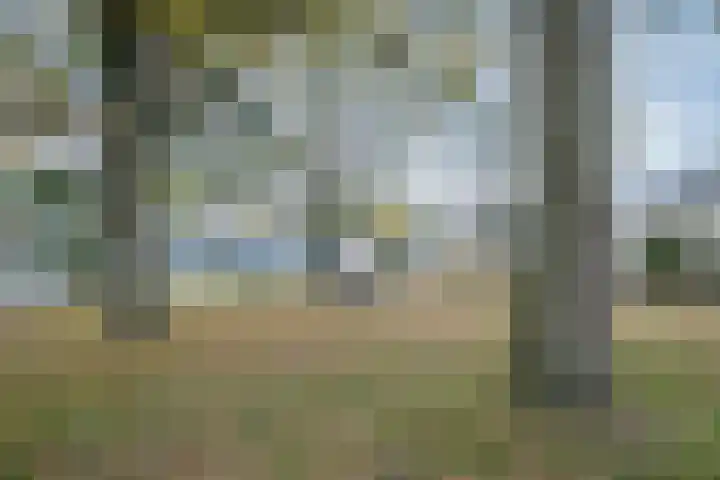 Roland Holsthof 7 Tilburg thumbnail 34