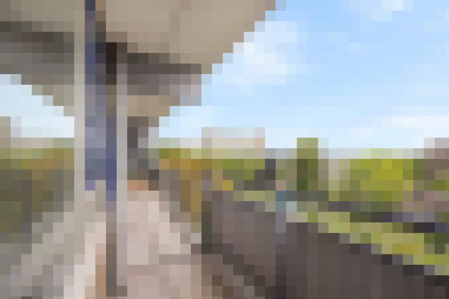 Roland Holstlaan 1013 Delft thumbnail 12