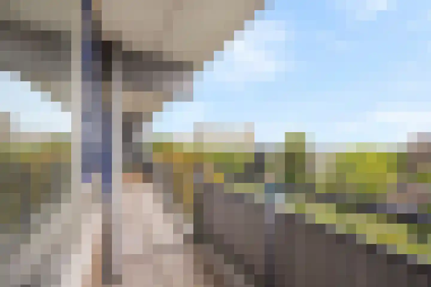 Roland Holstlaan 1013 Delft thumbnail 6