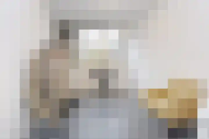 Roland Holstlaan 1033 Delft thumbnail 14