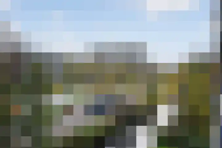 Roland Holstlaan 1033 Delft thumbnail 26