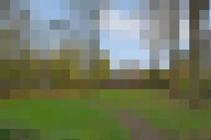 Roland Holstlaan 1033 Delft thumbnail 29