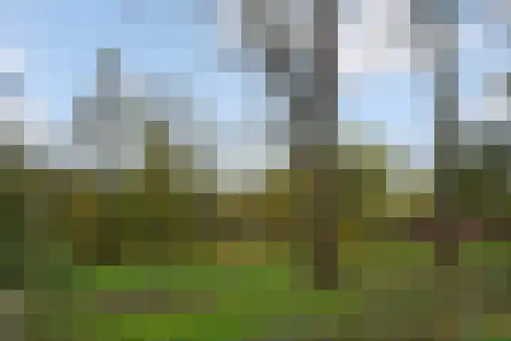Roland Holstlaan 1033 Delft thumbnail 30