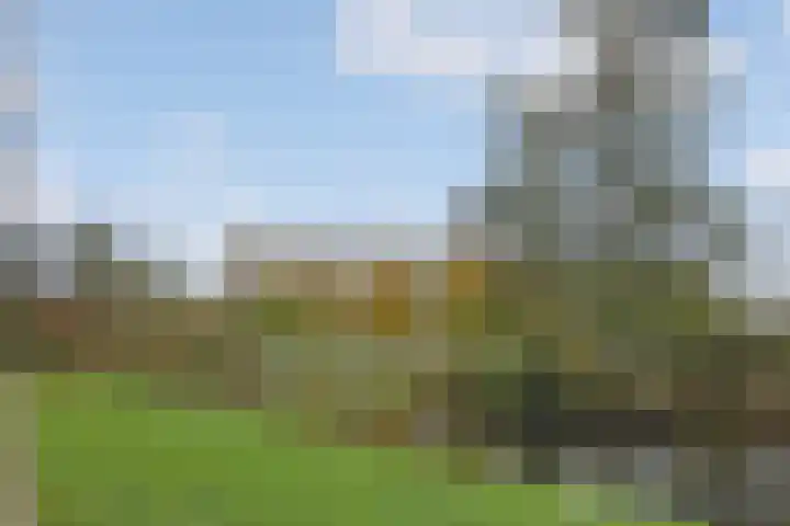 Roland Holstlaan 1033 Delft thumbnail 31
