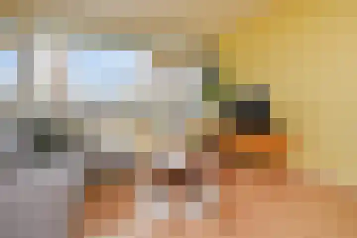 Roland Holstlaan 1065 Delft thumbnail 11