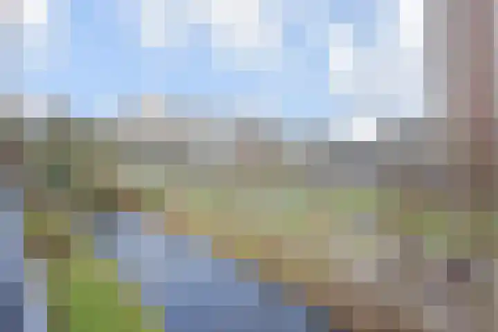 Roland Holstlaan 1065 Delft thumbnail 14