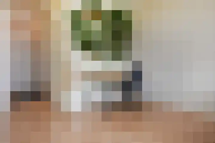 Roland Holstlaan 1065 Delft thumbnail 18