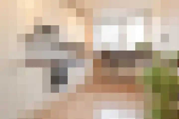 Roland Holstlaan 1065 Delft thumbnail 21