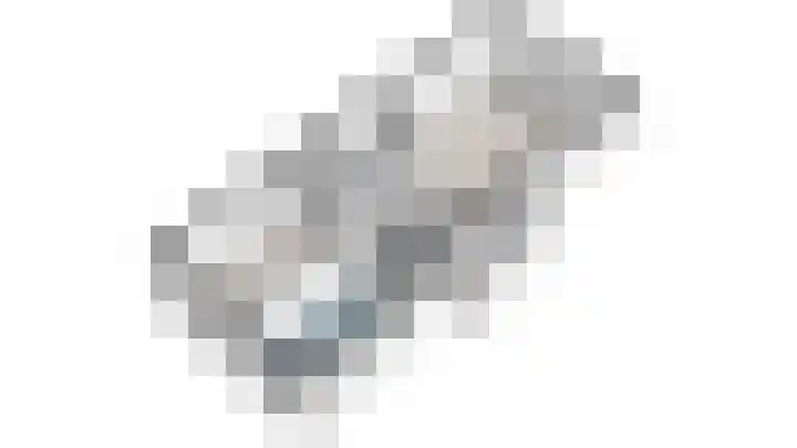Roland Holstlaan 1065 Delft thumbnail 32