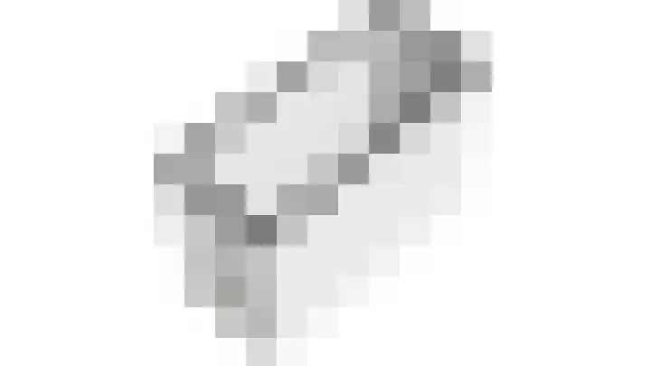 Roland Holstlaan 1065 Delft thumbnail 34