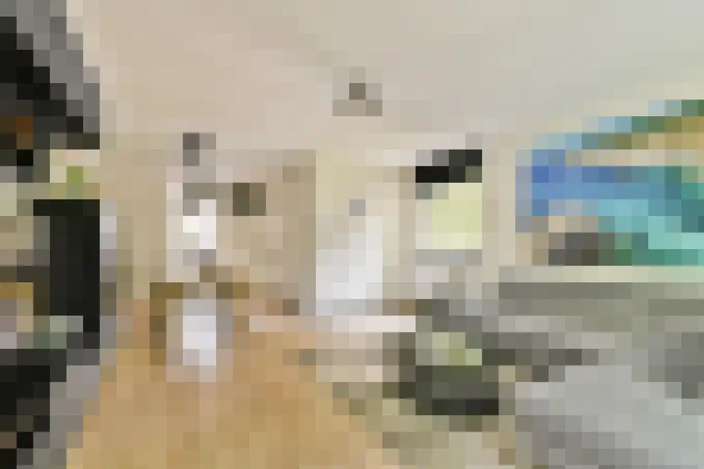 Roland Holstlaan 1118 Delft thumbnail 10