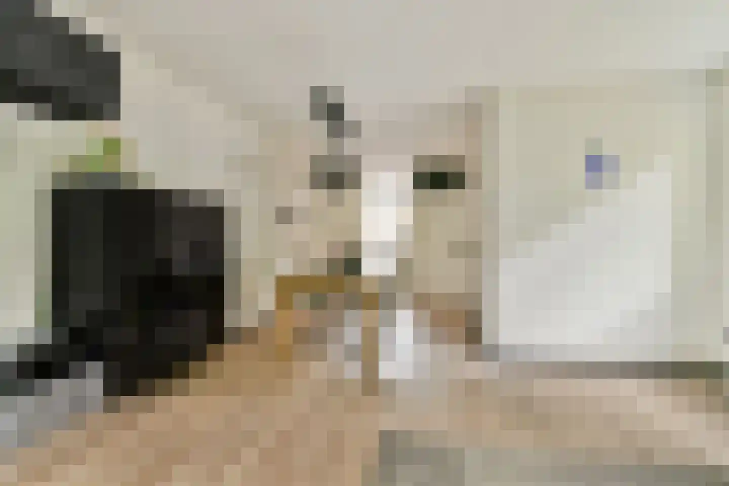 Roland Holstlaan 1118 Delft thumbnail 11