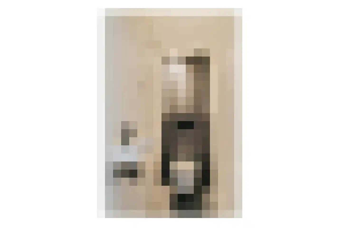 Roland Holstlaan 1118 Delft thumbnail 19