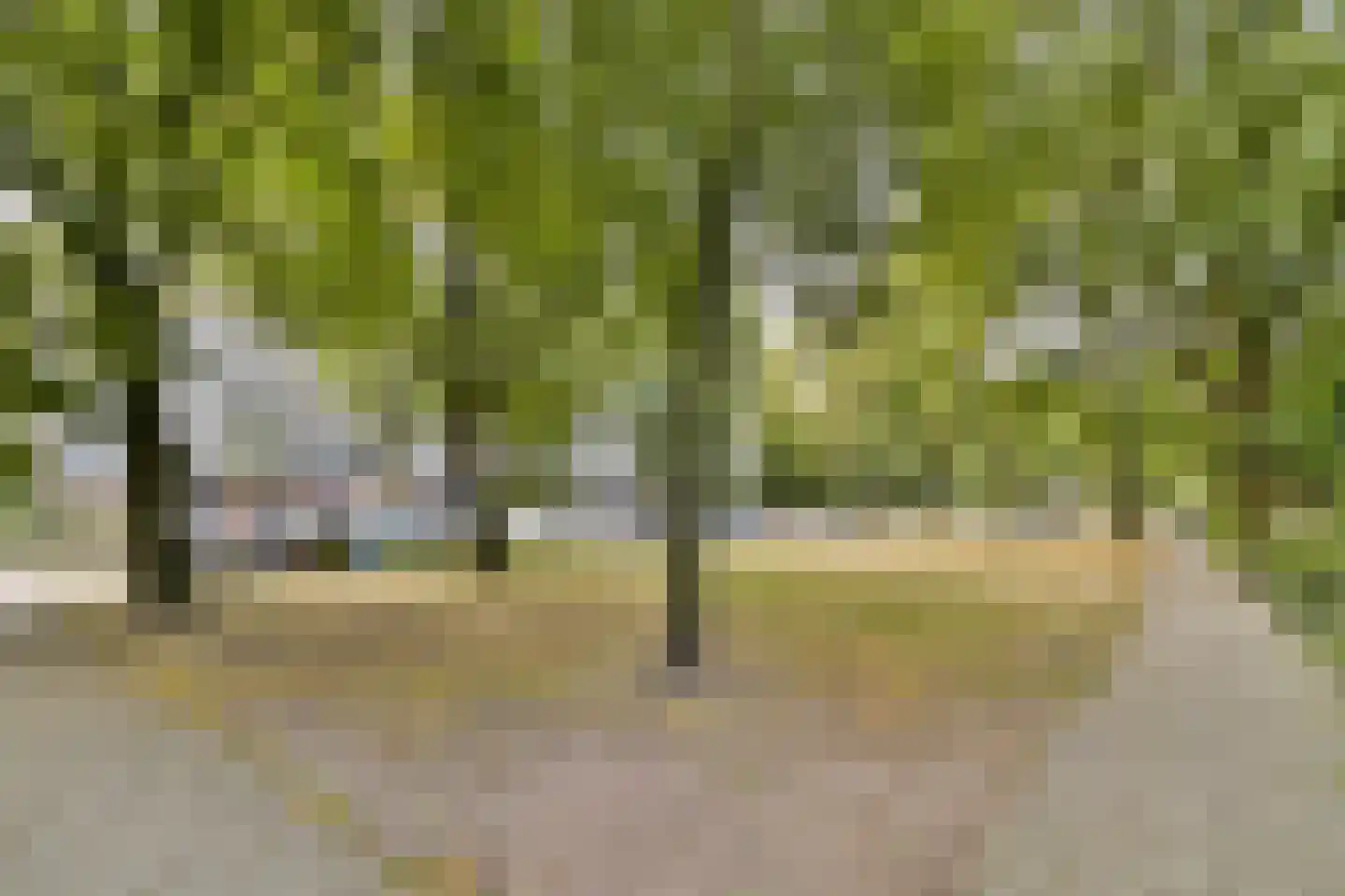 Roland Holstlaan 1118 Delft thumbnail 23