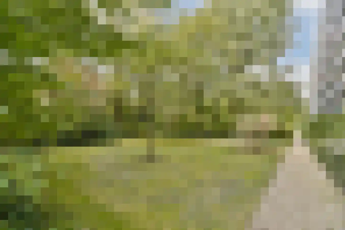Roland Holstlaan 1118 Delft thumbnail 24