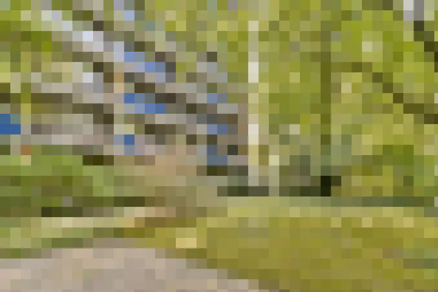 Roland Holstlaan 1118 Delft thumbnail 26