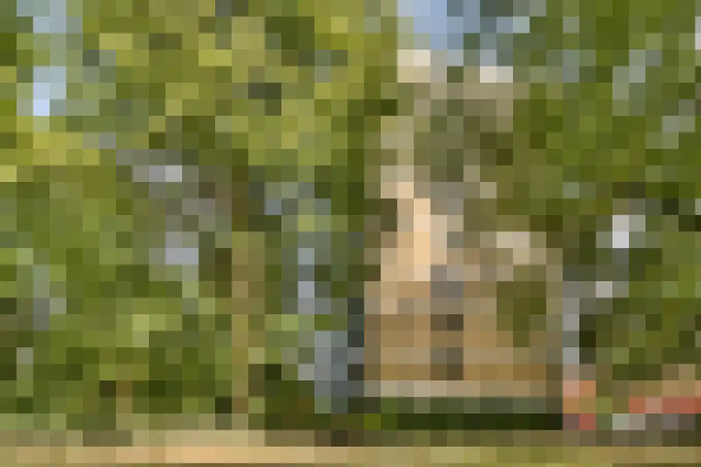 Roland Holstlaan 1118 Delft thumbnail 27