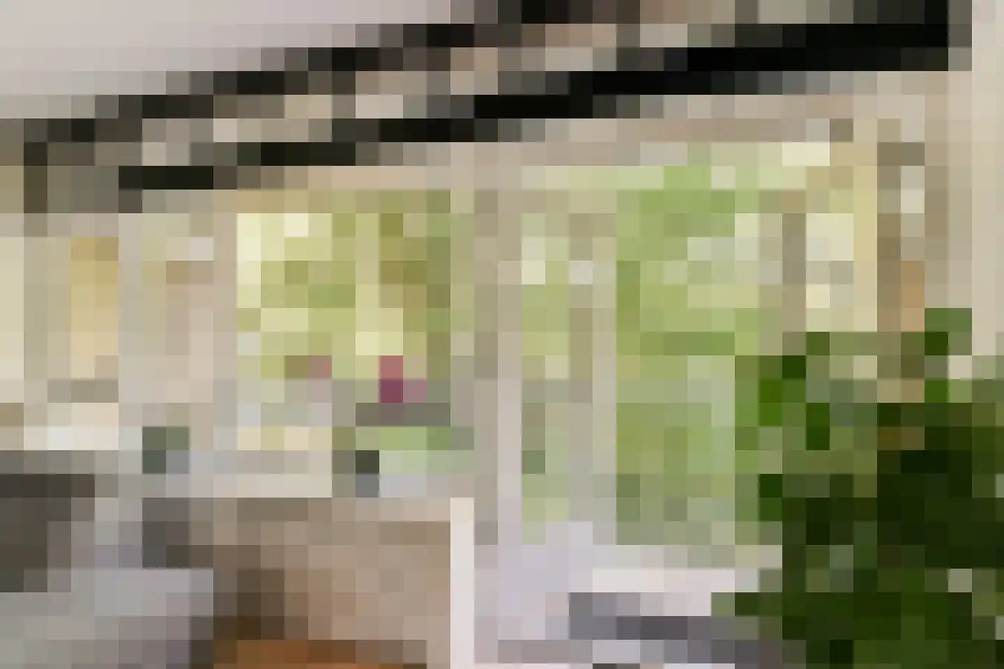 Roland Holstlaan 1118 Delft thumbnail 6