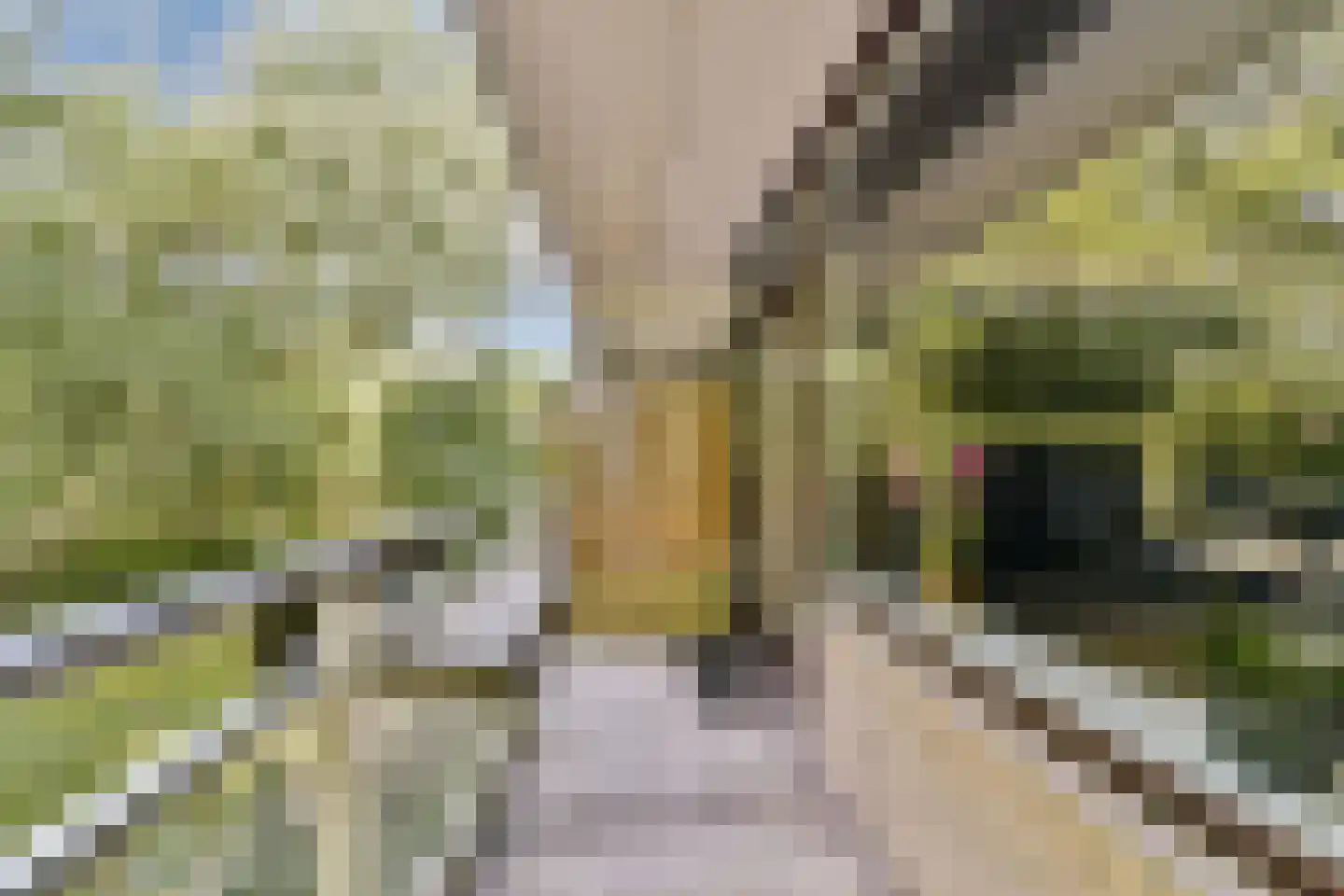 Roland Holstlaan 1118 Delft thumbnail 8