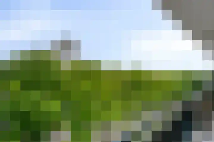 Roland Holstlaan 1149 Delft thumbnail 16