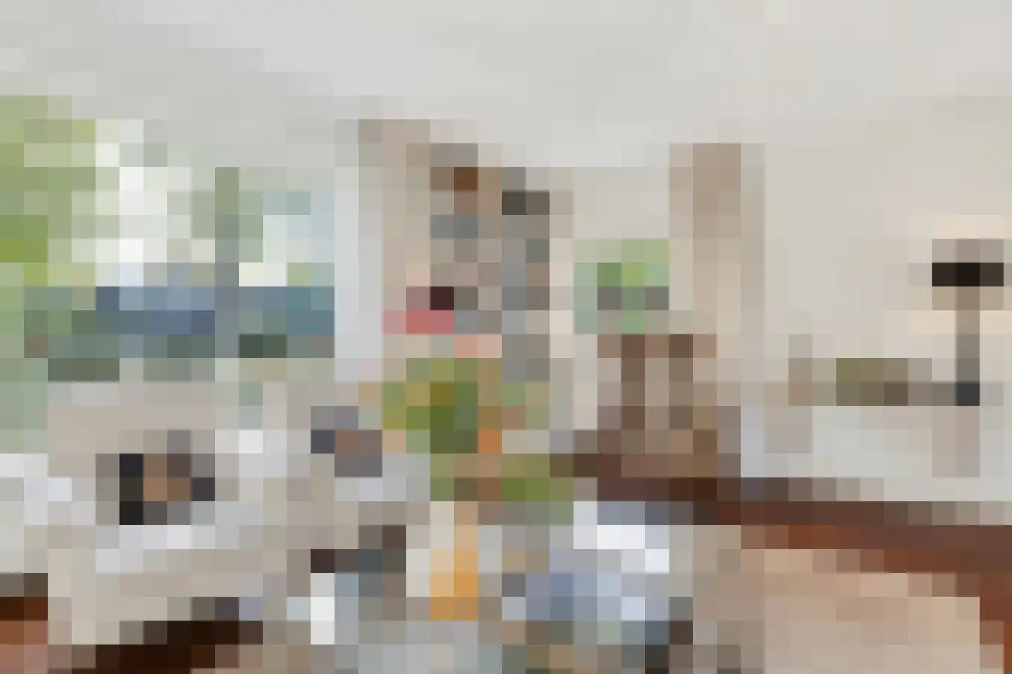 Roland Holstlaan 31 Reeuwijk thumbnail 10