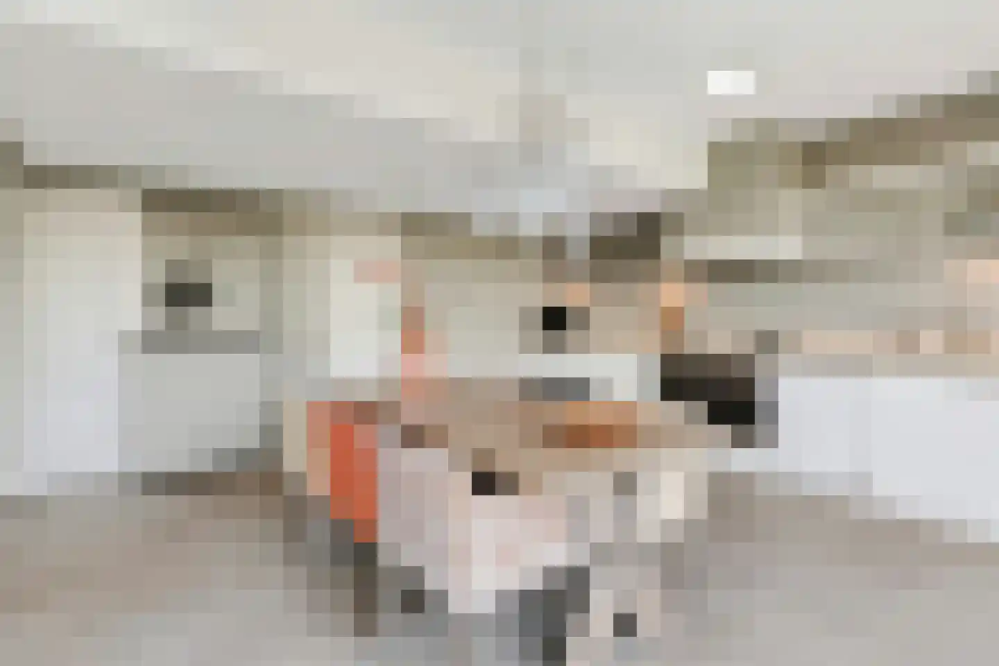 Roland Holstlaan 31 Reeuwijk thumbnail 17