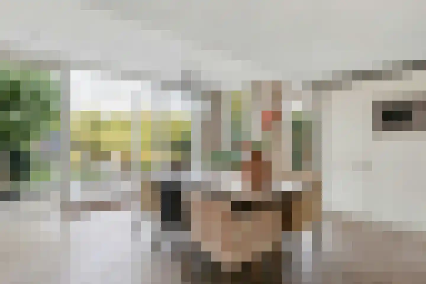 Roland Holstlaan 31 Reeuwijk thumbnail 18