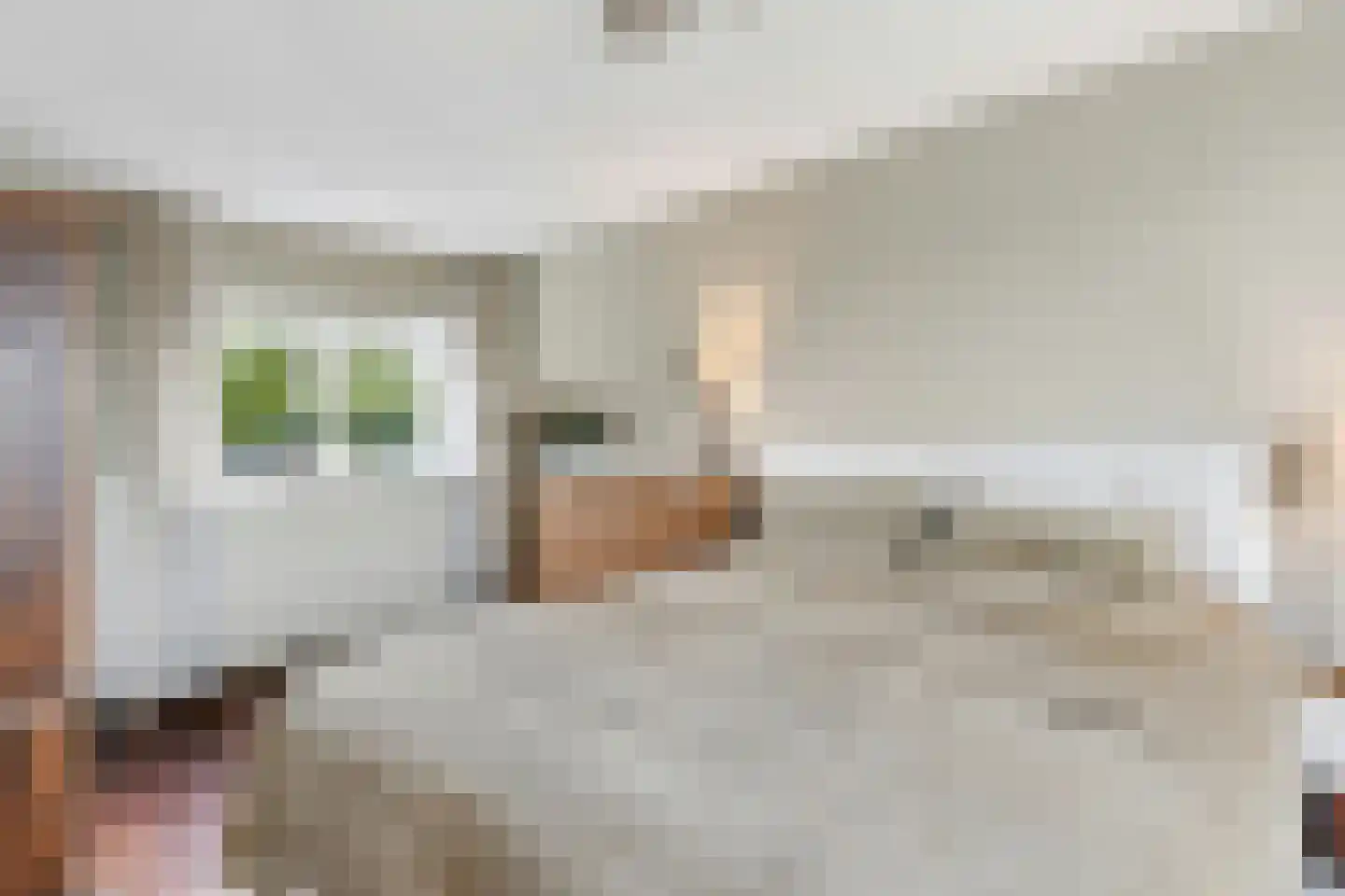 Roland Holstlaan 31 Reeuwijk thumbnail 21