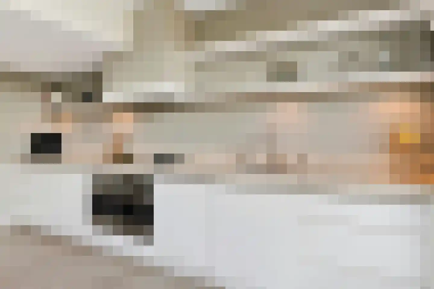 Roland Holstlaan 31 Reeuwijk thumbnail 6