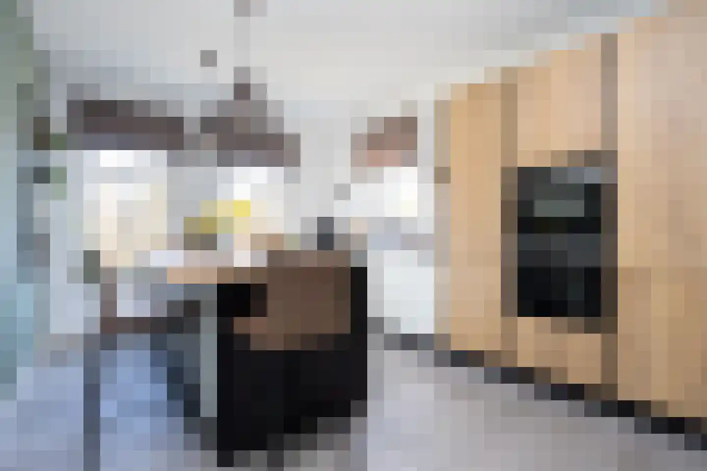 Roland Holstlaan 6 Bergschenhoek thumbnail 24