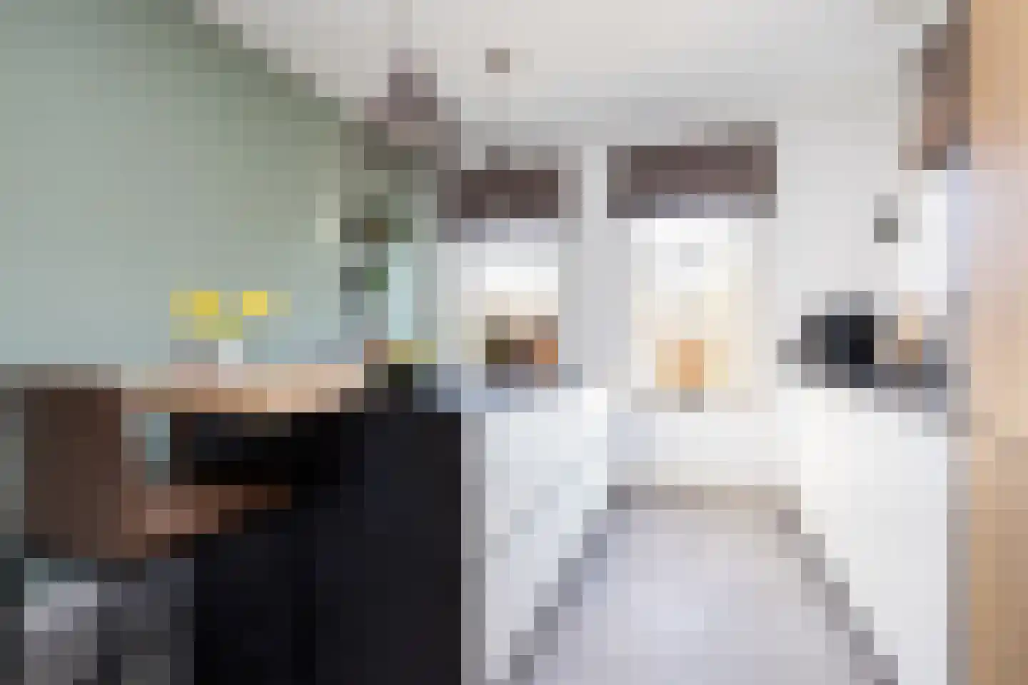 Roland Holstlaan 6 Bergschenhoek thumbnail 25