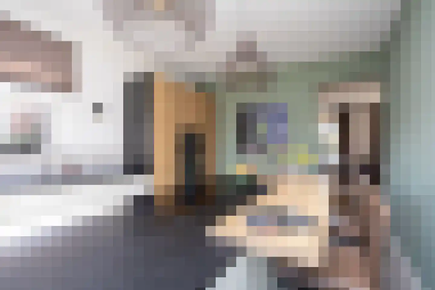 Roland Holstlaan 6 Bergschenhoek thumbnail 26