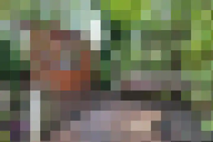 Roland Holstlaan 6 Bergschenhoek thumbnail 32