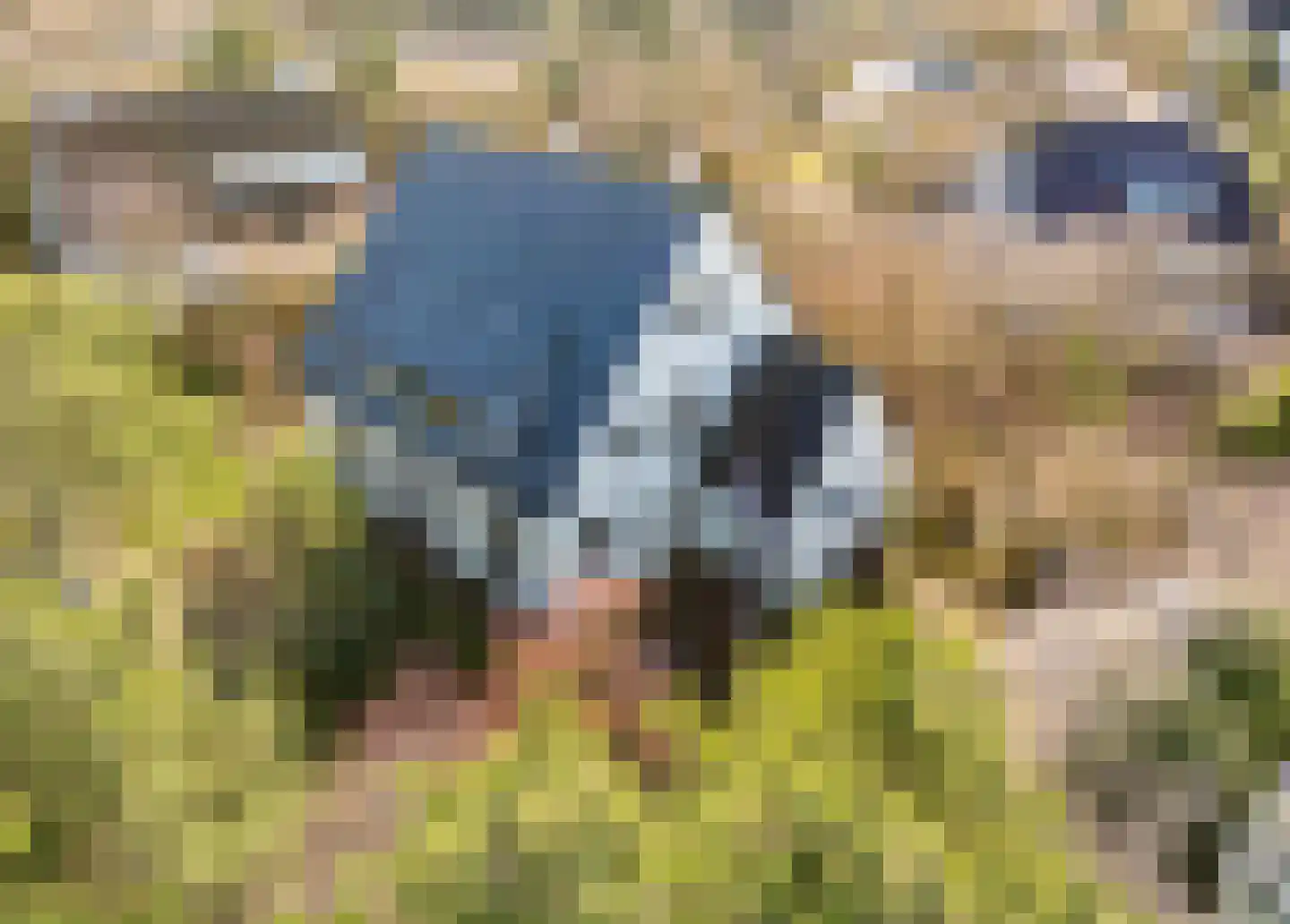 Roland Holstlaan 6 Bergschenhoek thumbnail 5
