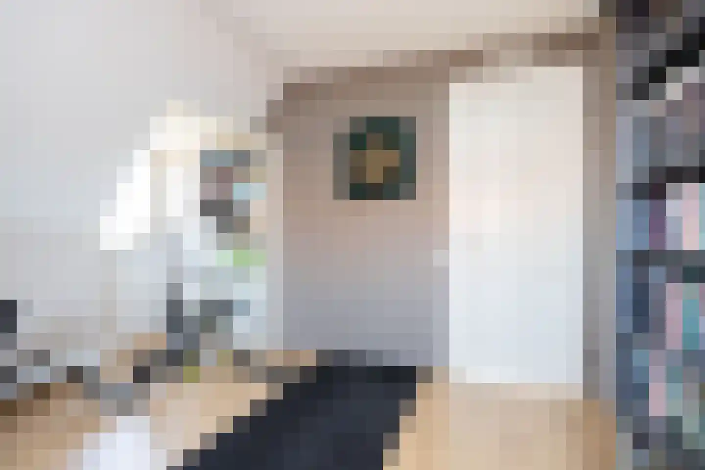 Roland Holstlaan 6 Bergschenhoek thumbnail 53