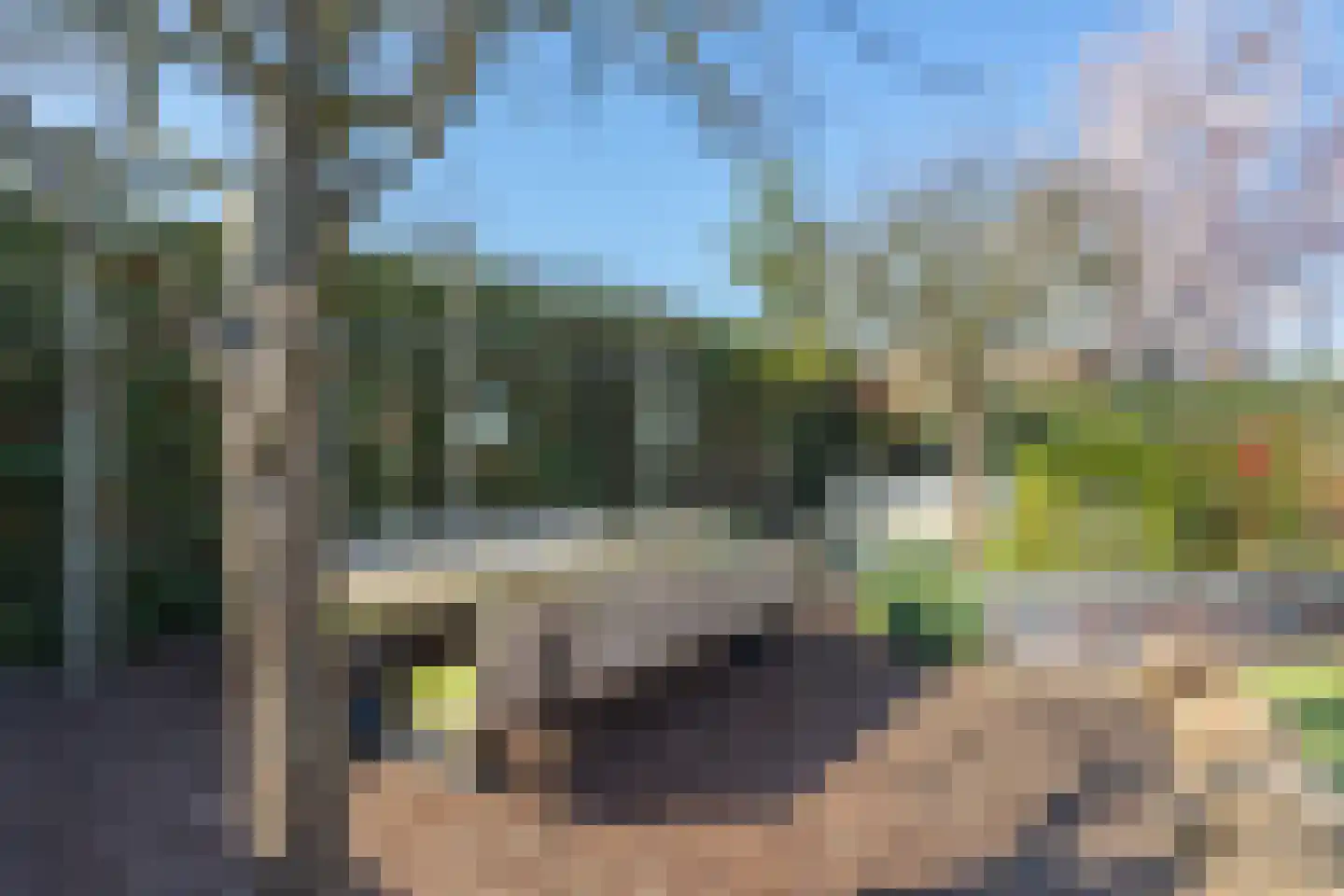 Roland Holstlaan 6 Bergschenhoek thumbnail 62