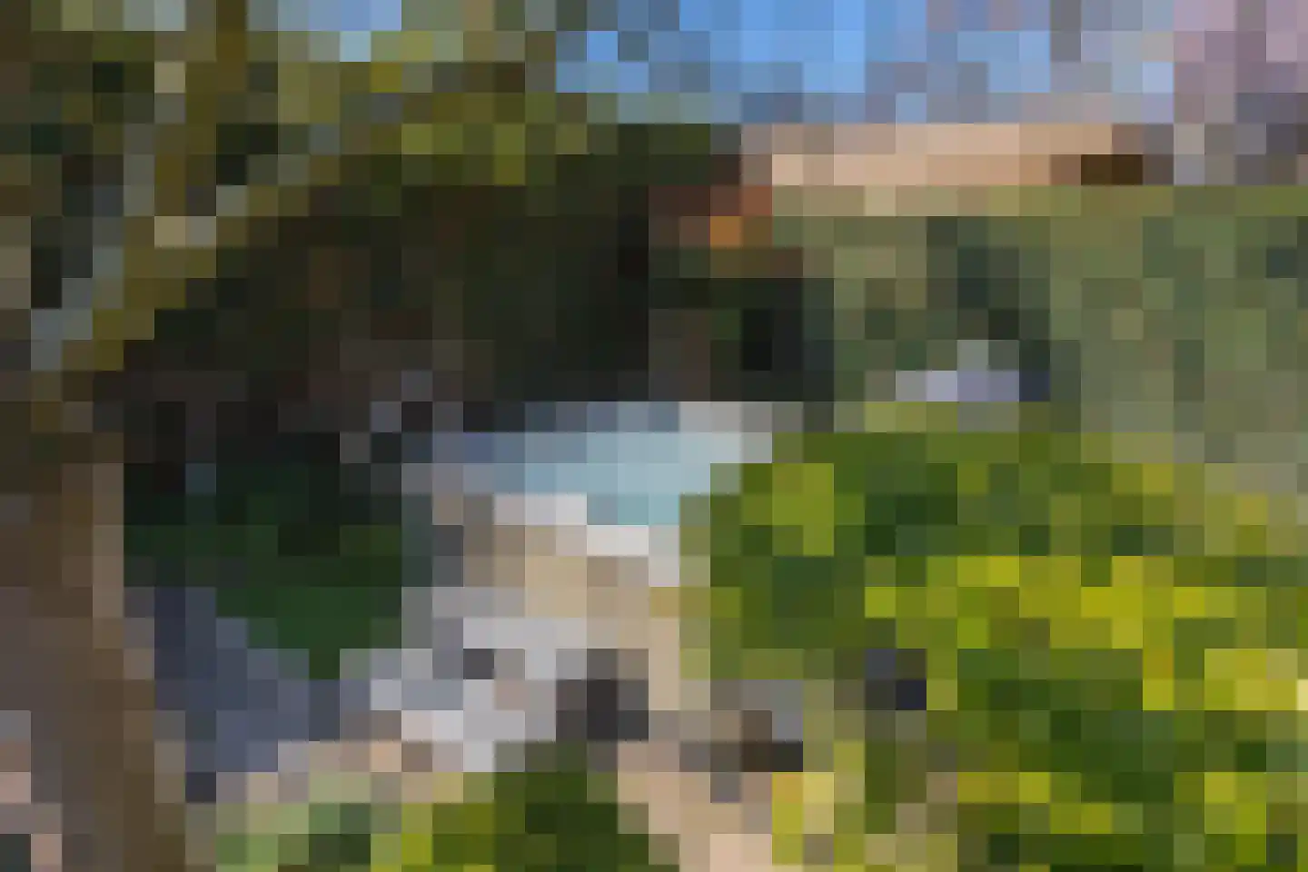 Roland Holstlaan 6 Bergschenhoek thumbnail 63