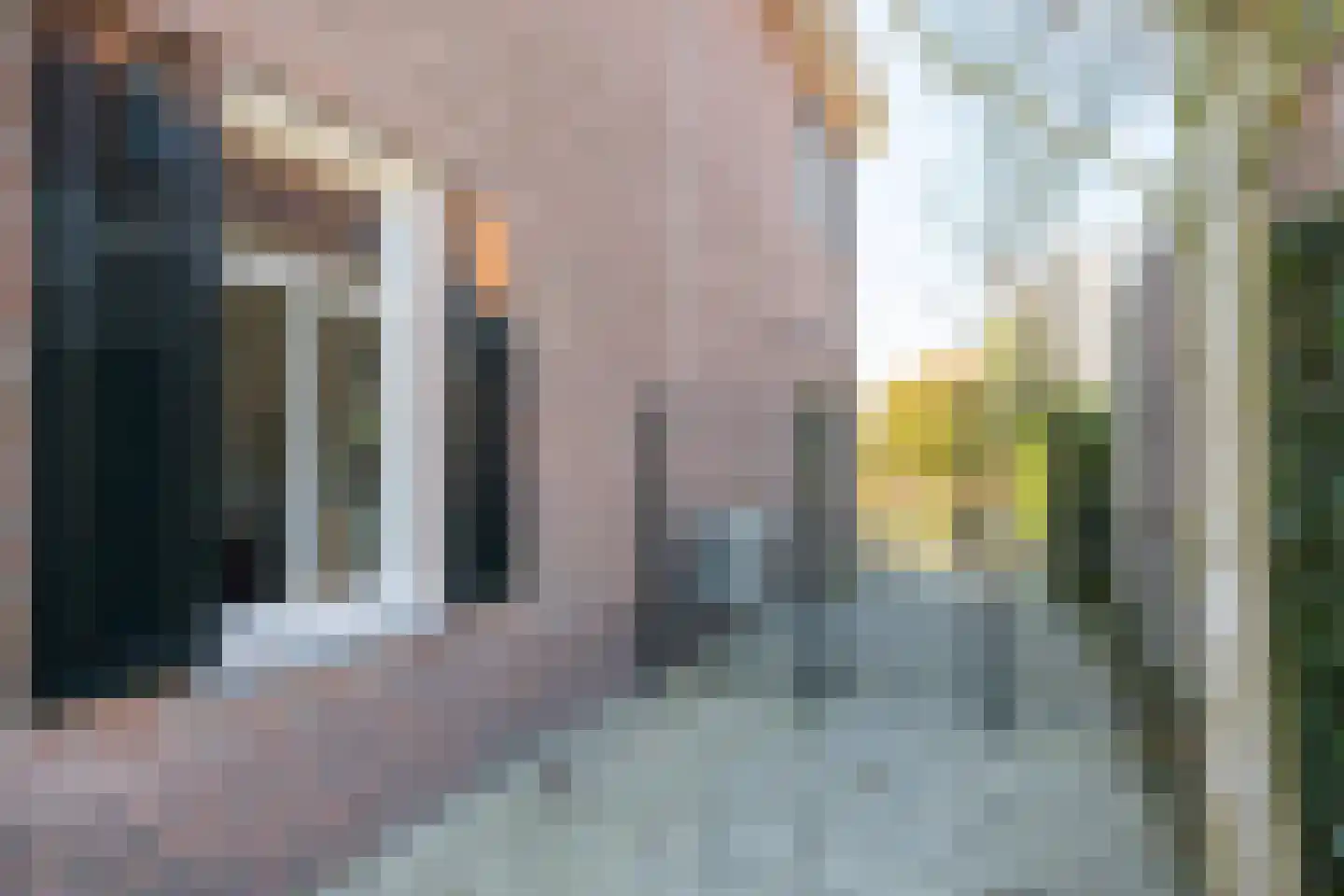 Roland Holstlaan 6 Bergschenhoek thumbnail 72